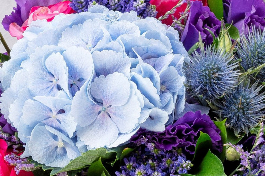 Blue - Qatar