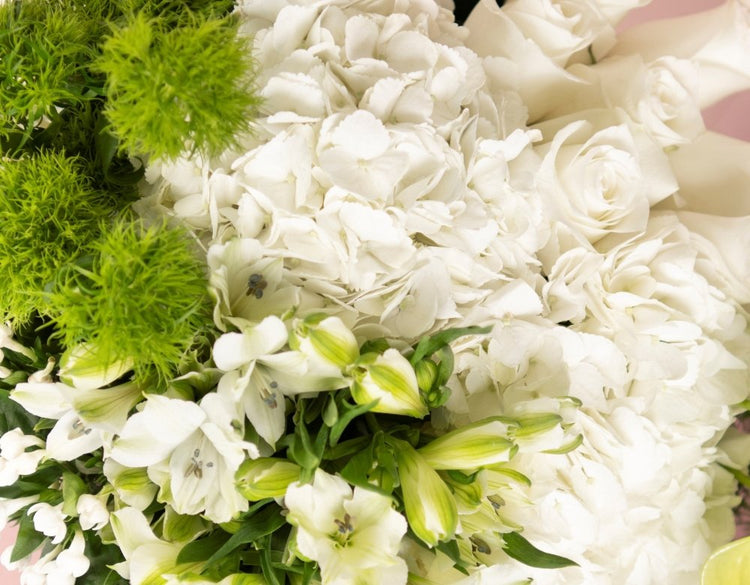 Condolences - Qatar