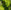Green - Qatar
