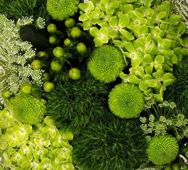 Green - Qatar