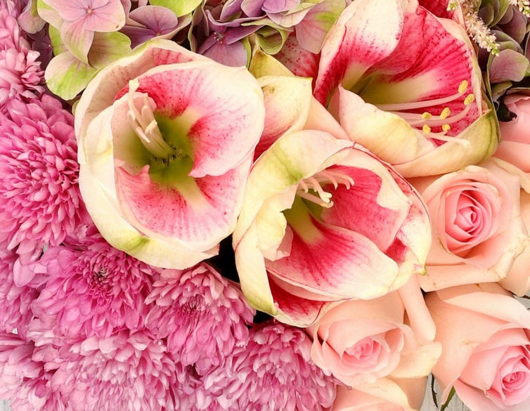 Pink - Qatar
