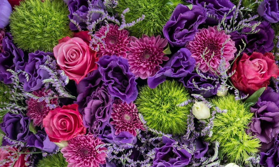 Purple - Qatar