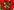 Red - Qatar