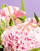 Bloom Baby Bloom