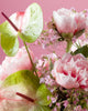 bubble - gum cloud - Alissar Flowers Doha