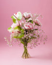 bubble - gum cloud - Alissar Flowers Doha