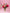 Cherry Taffy - Alissar Flowers Doha