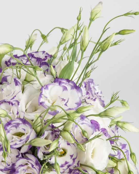 Elegantly Yours - Alissar Flowers Doha