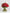 Hold Me Enamored - Alissar Flowers Doha