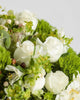 Hold Me Serene  - Alissar Flowers Doha
