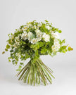 Hold Me Serene  - Alissar Flowers Doha
