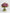 Hold Me Treasured - Alissar Flowers Doha