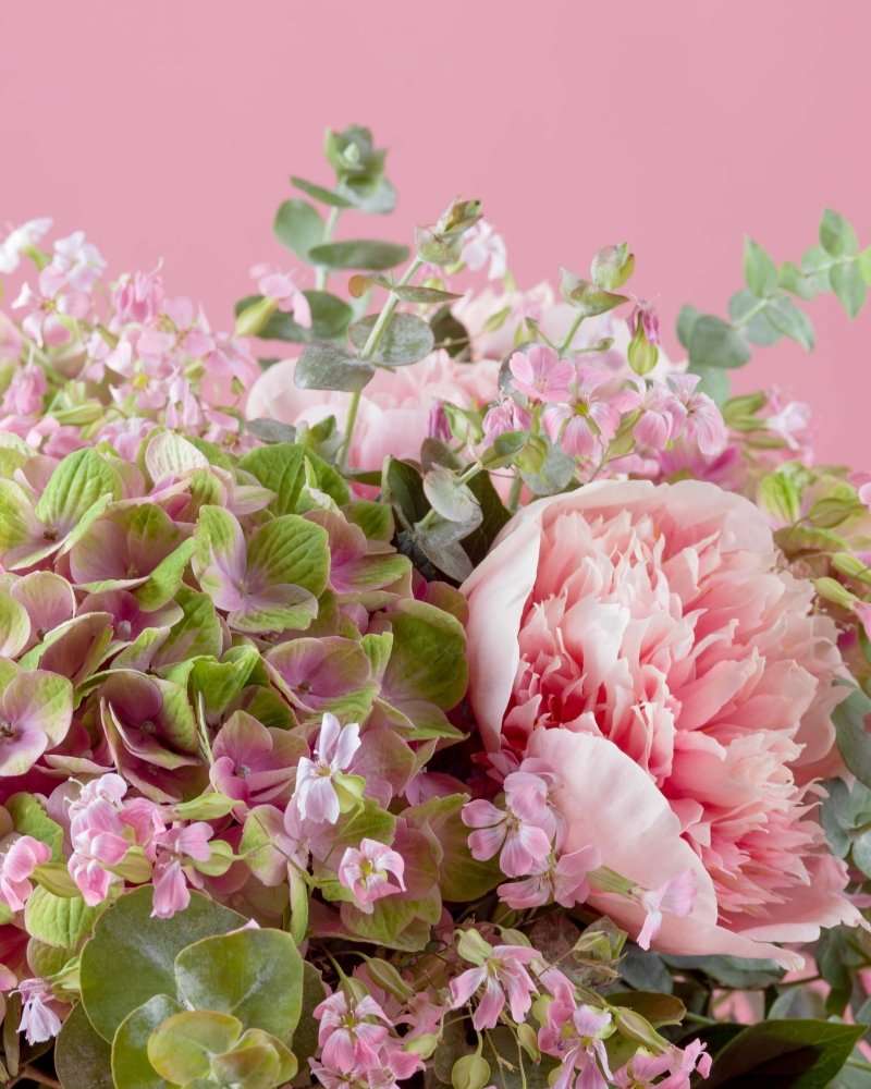 Pink Kiwi - Alissar Flowers Doha