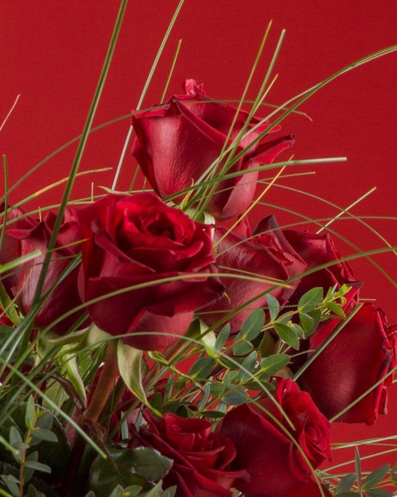 Rosa Rossa - Alissar Flowers Doha