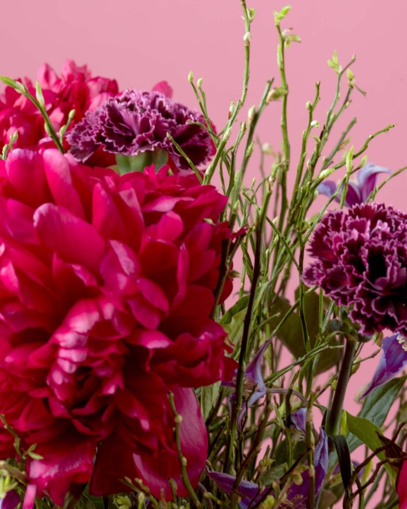 Sugar Plum - Alissar Flowers Doha