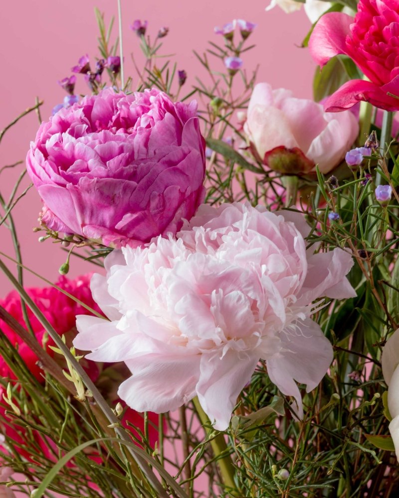 Sugar Sprinkle - Alissar Flowers Doha