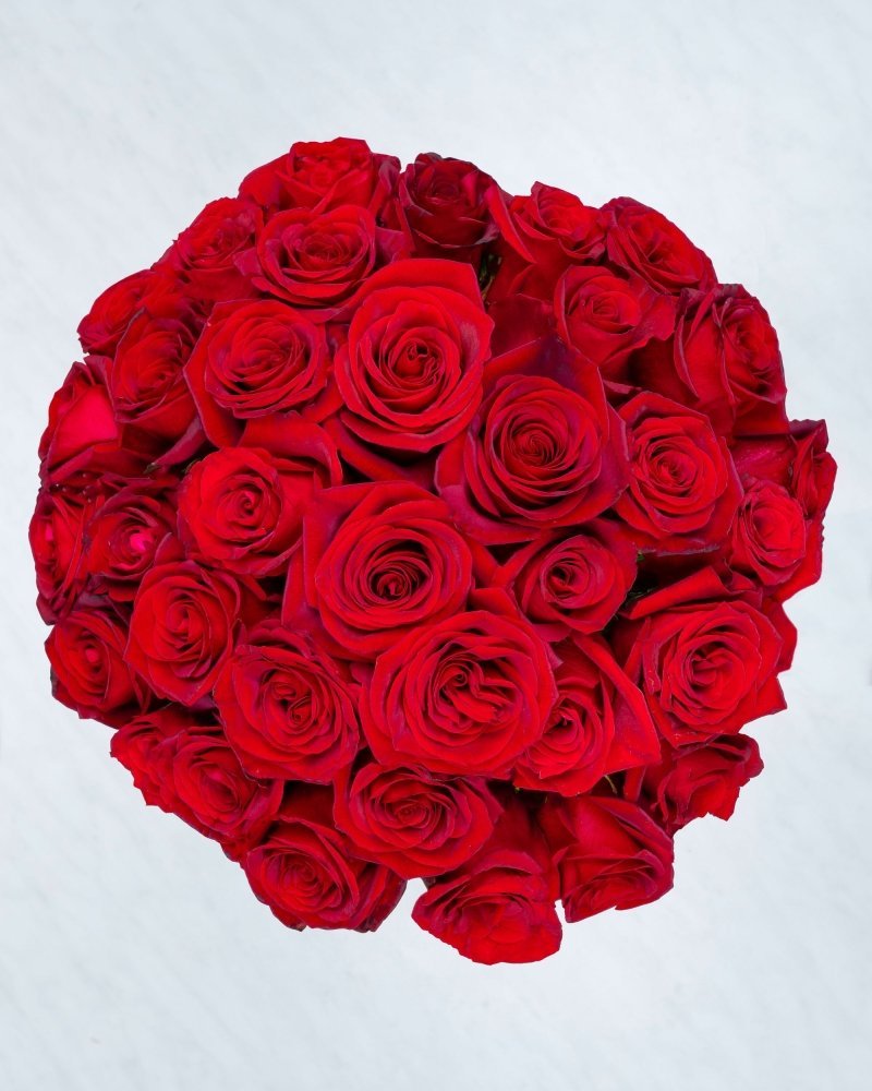 36 Roses - Alissar Flowers: QA