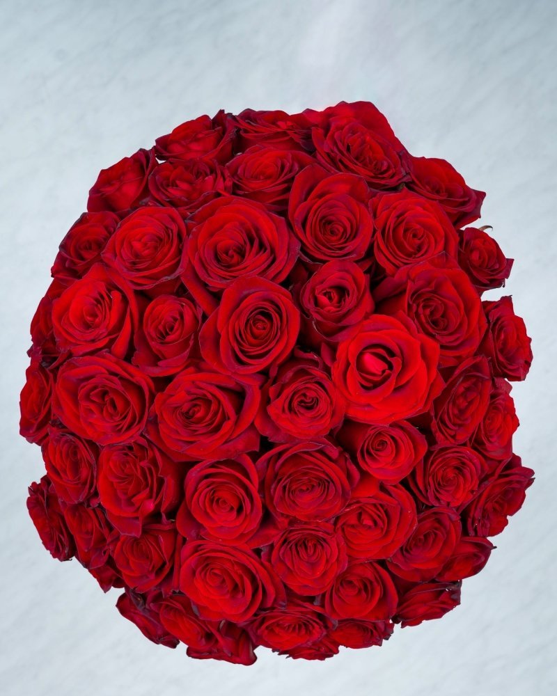 50 Red Roses - Alissar Flowers: QA