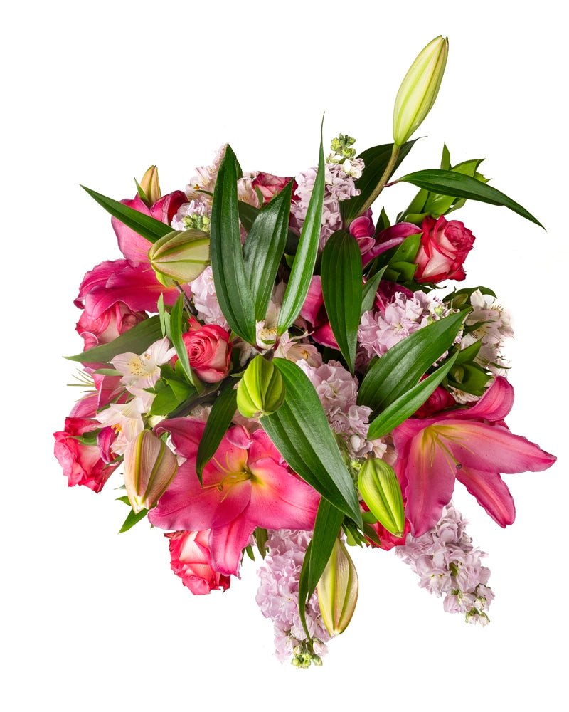 Lily Rose - Alissar Flowers Qatar